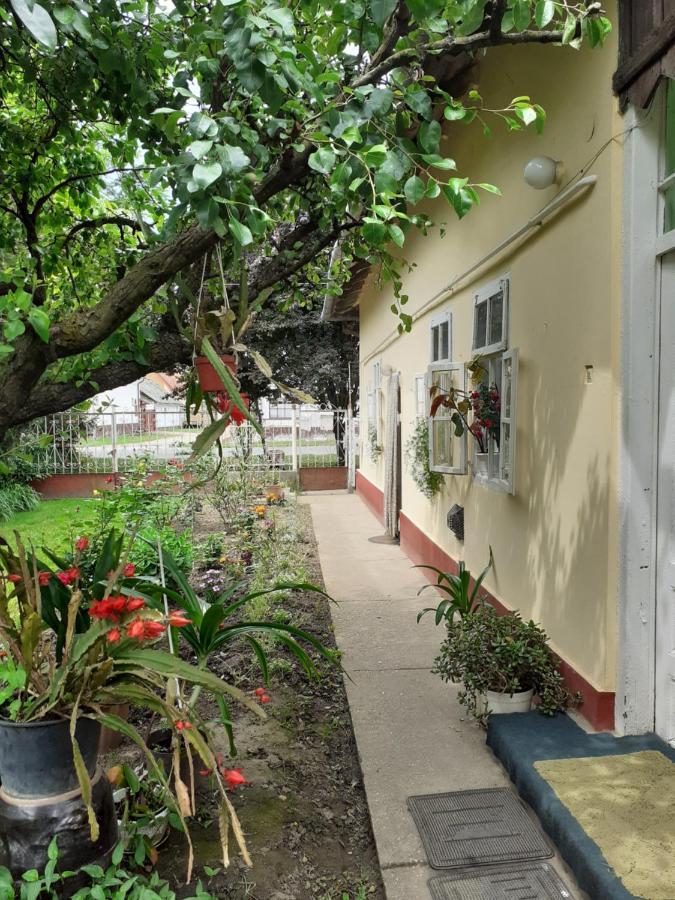 Ferienwohnung Marika Vendeghaz Abádszalók Exterior foto