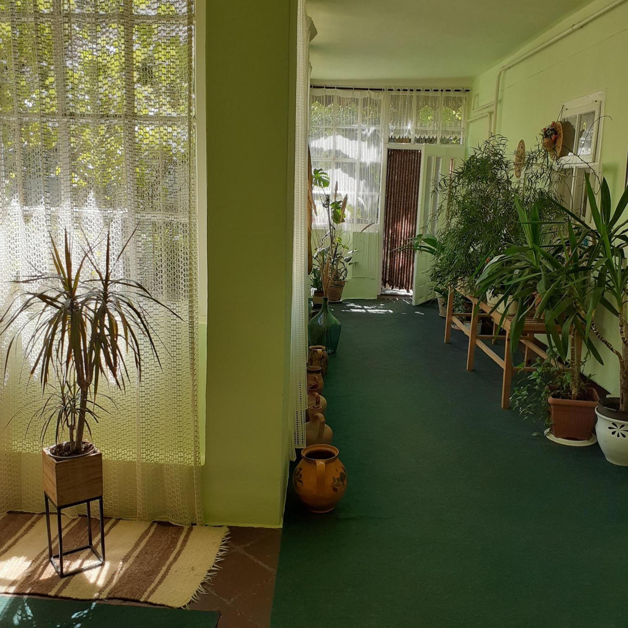 Ferienwohnung Marika Vendeghaz Abádszalók Exterior foto